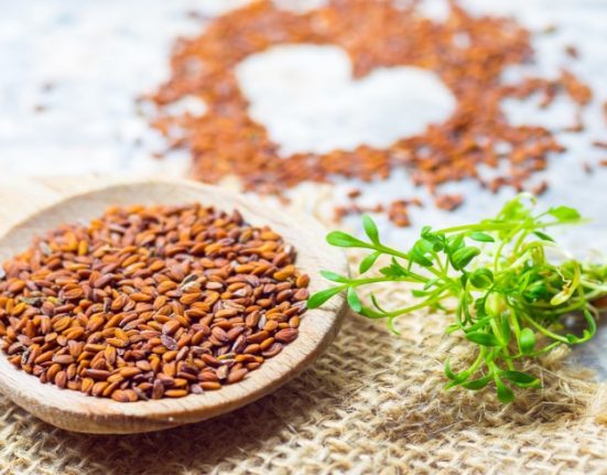 فوائد حب الرشاد وفوائده الصحية والغذائية على الإنسان