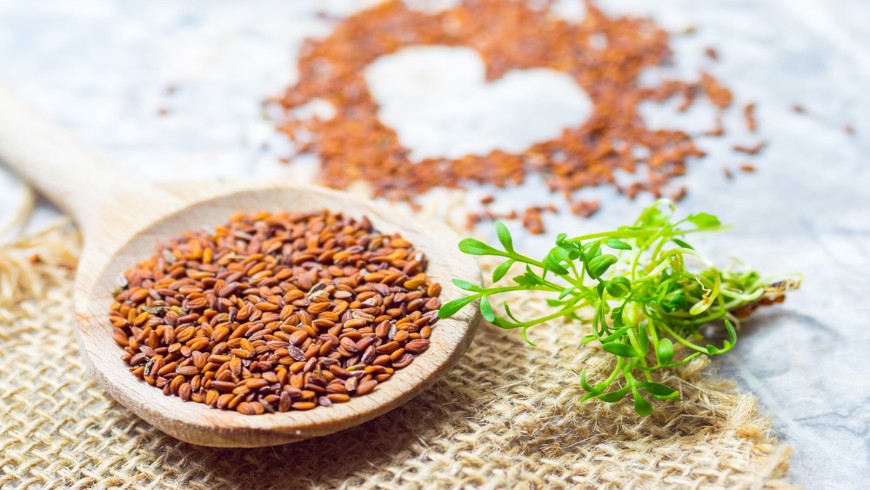 فوائد حب الرشاد وفوائده الصحية والغذائية على الإنسان